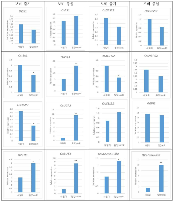 보비재배에서 밀양360호의 동화산물 관련 유전자 발현 분석