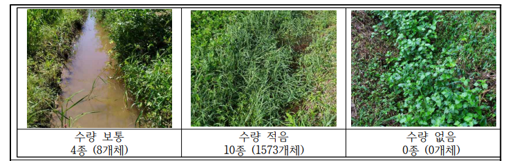 농업환경보전프로그램 수로형 둠벙