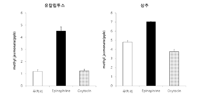 인간호르몬에 의한 식물체의 methyl jasmonate 방출량