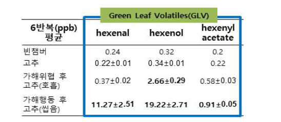 고추를 가해 혹은 가해위협 시 방출되는 VOCs 8시간 평균 수치