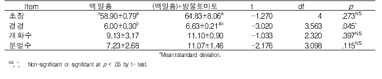 백일홍 단식과 방울토마토와의 혼식 독립표본 T-검정 결과