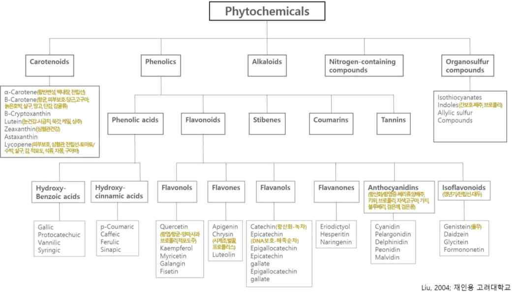 파이토케미컬 분류표