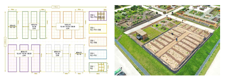 동반식물 활용 전시포/실험포 레이아웃(현장조성)