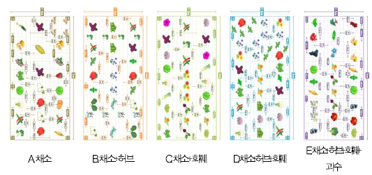 식물분류형 텃밭모델 5종