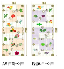 색중심건강기능성텃밭모델2종