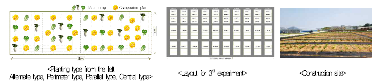 Cultivation method by planting type