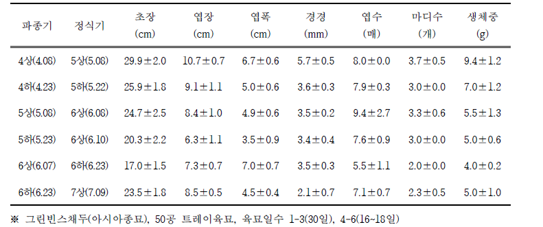 그린빈 정식기별 묘소질 비교