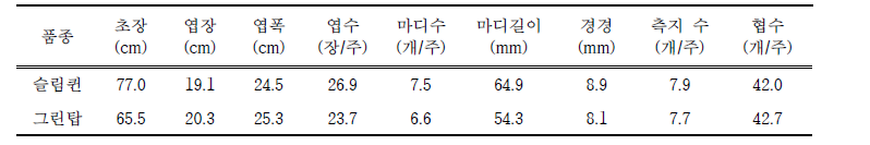 그린빈 농가실증(횡성) 품종별 생육 비교(6.16.)