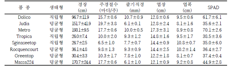 봄작형 이식재배 생육특성 (조사일: 6. 30.)