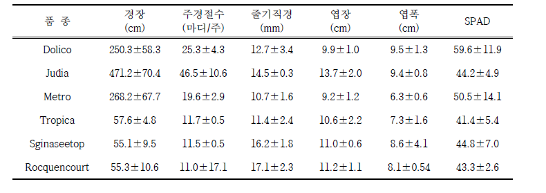 봄작형 이식재배 생육특성 (조사일: 9. 8.)