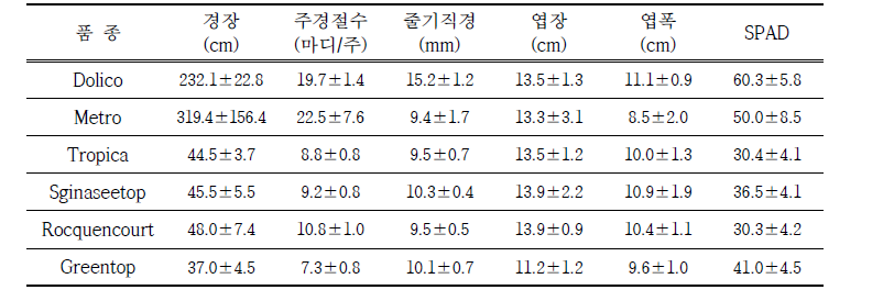 가을작형 직파재배 생육특성 (조사일: 10. 22.)