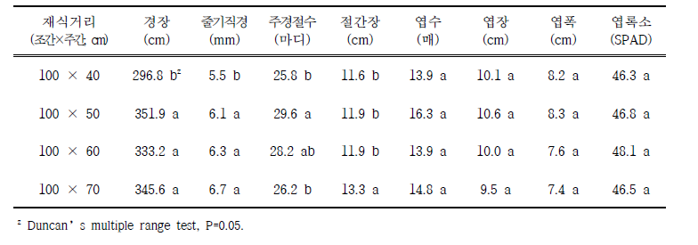 봄작형 재식거리에 따른 생육특성 (조사일: 6. 30.)