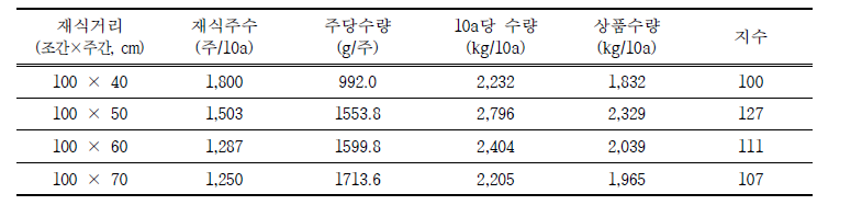 봄작형 재식거리에 따른 수량성