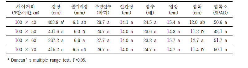 가을작형 재식거리에 따른 생육특성 (조사일: 11. 1.)