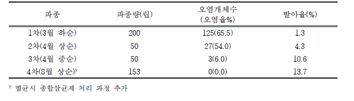 파파야 ‘레드레이디’ 종자 기내 파종 결과