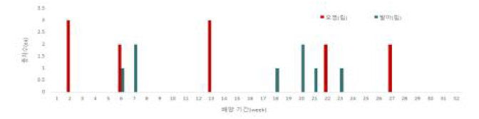 배양기간에 따른 기내 종자 발아 및 오염 현황.