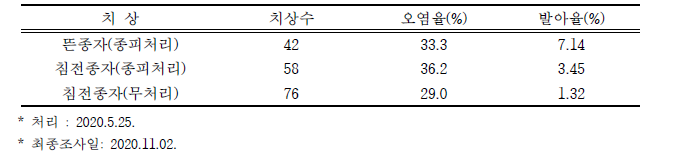 파파야 ‘레드레이디’ 종피 처리에 따른 파종 결과