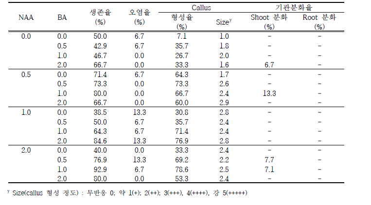 NAA와 BA의 조합별 생존율 및 기관분화 (배양 1개월 후)