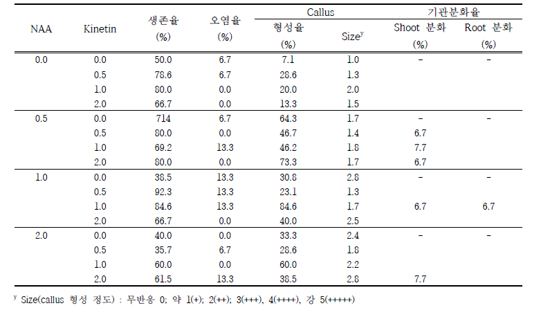 NAA와 Kinetin의 조합별 생존율 및 기관분화 (배양 1개월 후)