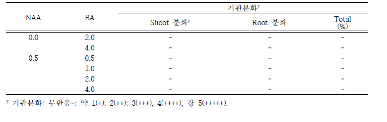 NAA와 BA의 처리별 줄기 callus의 기관분화