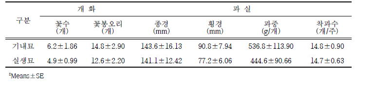 파파야 기내묘와 실생묘의 개화 및 과실 특성 비교