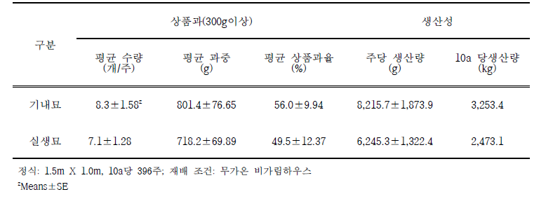 파파야 기내묘와 실생묘의 생산성 비교