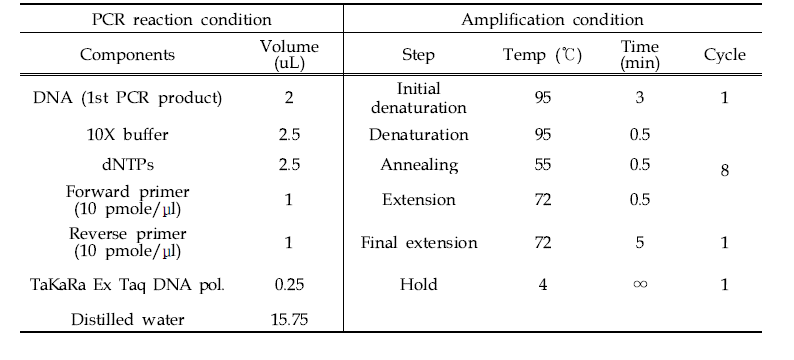 Index PCR 반응 및 증폭 조건