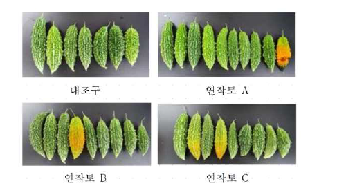 처리별 과실 비교.