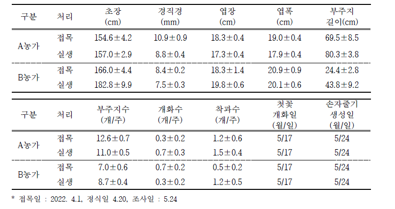 농가별 여주 접목묘 및 실생묘 정식 후 초기생육 특성 비교