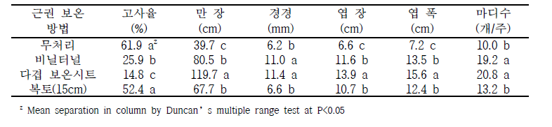 근권 보온방법별 초기생육(5.18.)