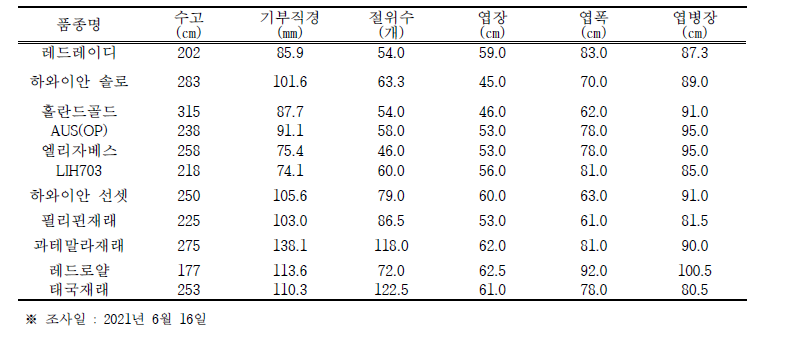 파파야 품종별 생육 특성