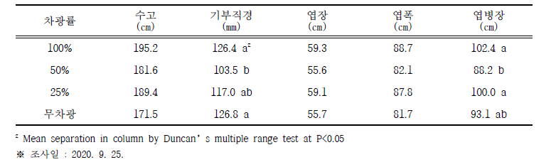 차광 정도에 따른 식물특성