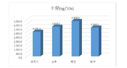 토양개량제 처리에 따른 수량.