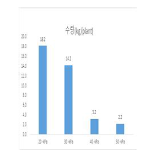 관수개시점 –20 kPa와 –30 kPa