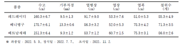 종합기술투입에 따른 품종별 생육특성