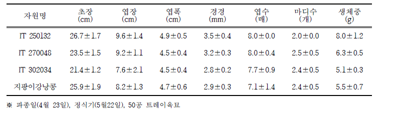 롱빈 유전자원별 묘소질 비교