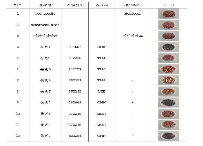 롱빈 수집자원 목록