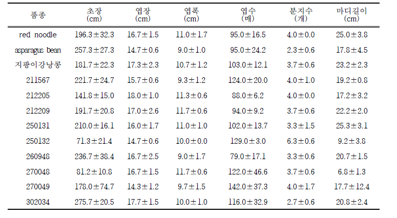 롱빈 유전자원별 생육특성 비교