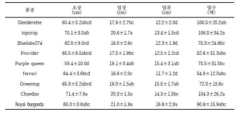 그린빈 유전자원별 생육특성 비교