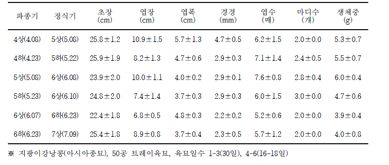 롱빈 정식기별 묘소질 비교