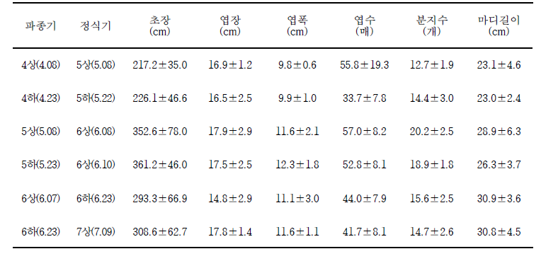 롱빈 정식기별 생육특성 비교