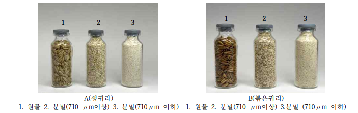 생귀리(무처리, A)와 볶은귀리(B) 시료