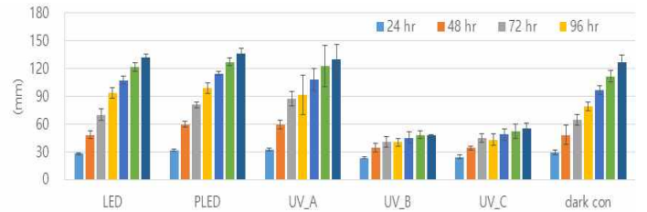 광조건/처리일수에 따른 새싹 길이(mm) 변화