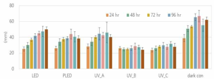 광조건/처리일수에 따른 뿌리 길이(mm) 변화