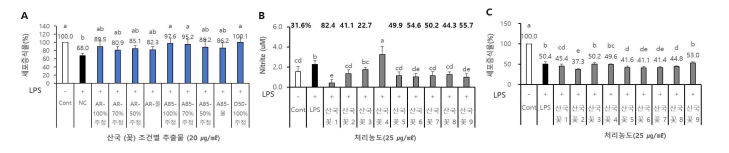 Raw264.7세포(A) 및 BV2 세포에서 산국(꽃) 조건별 추출물의 산화질소 저해효과(B) 및 세포증식(C)에 대한 영향