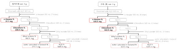 벌개미취 및 산국 용매분획물 제조