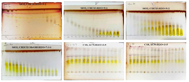 기린초 EtOAc 분획물로부터 분리한 1차 분획물(silica gel)의 TLC 패턴