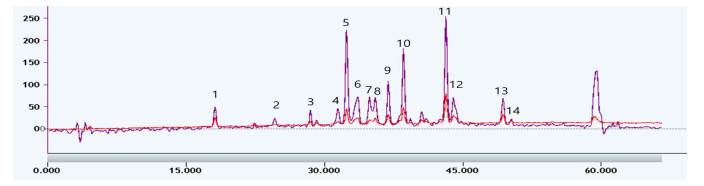 기린초 2차 컬럼 분리 Prep. HPLC 크로마토그램