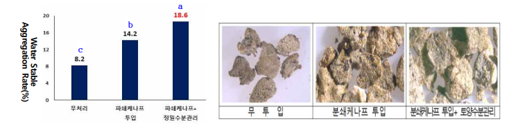 유기물 투입과 자동수분 제어솔루션 운영에 따른 입단 형성율과 입단 형상