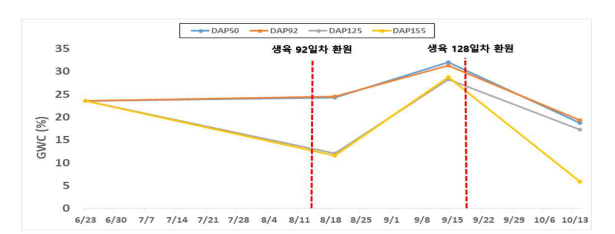 케나프 환원시기에 따른 처리구별 중량수분 함량 (GWC) 비교 (2020년)